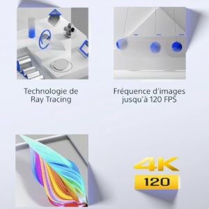 Sony PS5, Pack Console PlayStation®5 1 To - Fortnite Flowering Chaos – Edition limitée