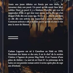 Le printemps de la haine