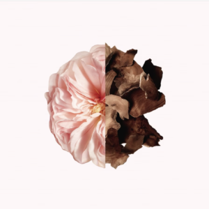 Irresistible Eau de Parfum Spray